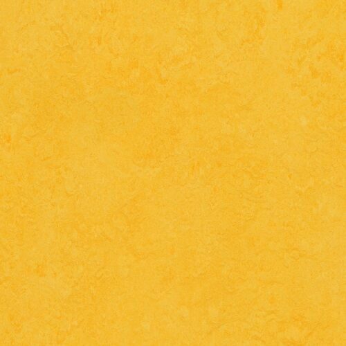 Marmoleum Fresco 3251 Lemon Zest