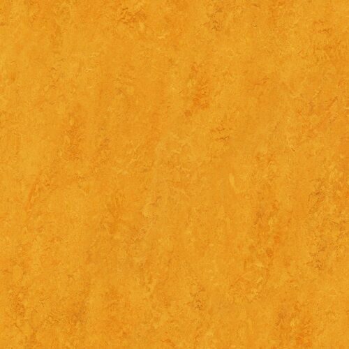 Marmoleum Fresco 3125 Golden Sunset